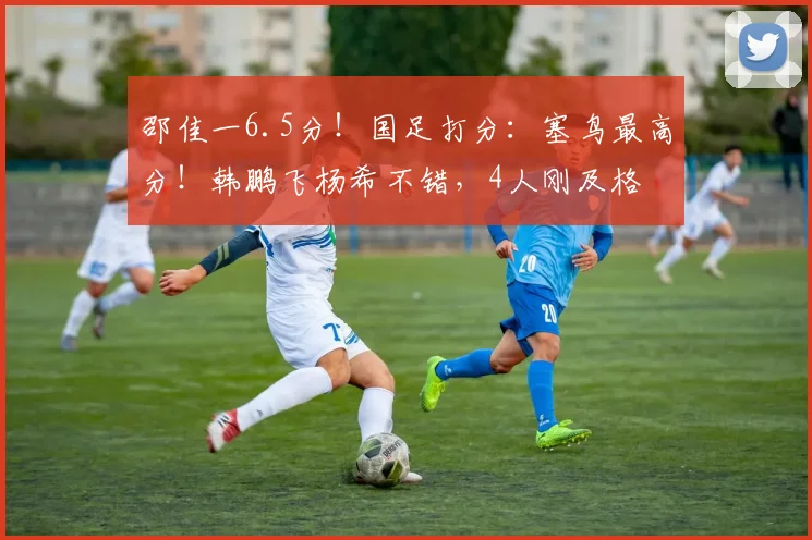邵佳一6.5分！国足打分：塞鸟最高分！韩鹏飞杨希不错，4人刚及格